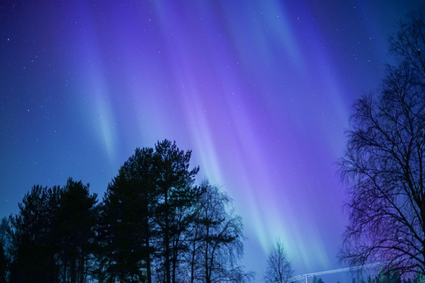 Rovaniemi: Aurora hunting and a fireside BBQ experience