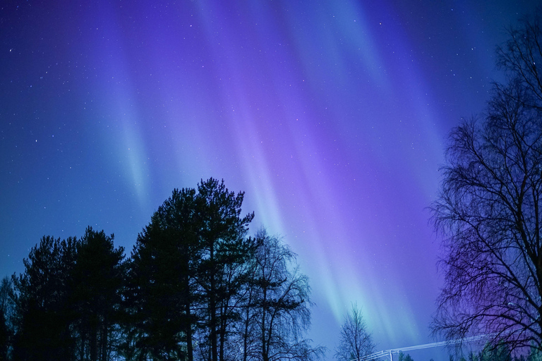 Rovaniemi: caça à aurora e uma experiência de churrasco à lareira