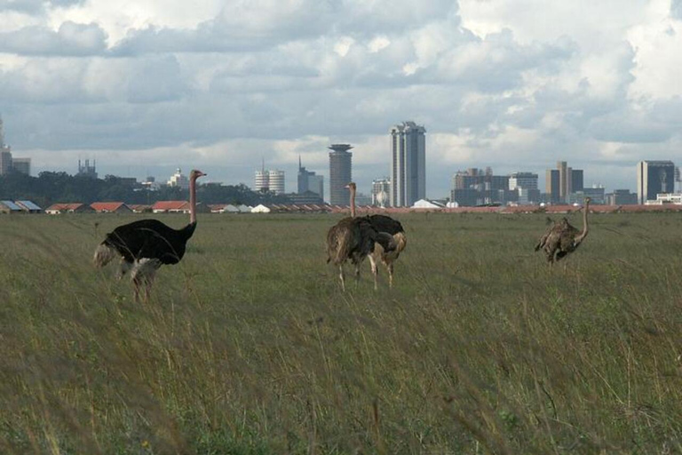 DAY TRIP NAIROBI NATIONAL PARK