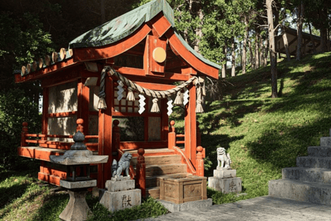 From Tokyo: Mount Fuji Full Day Customizable Private Tour