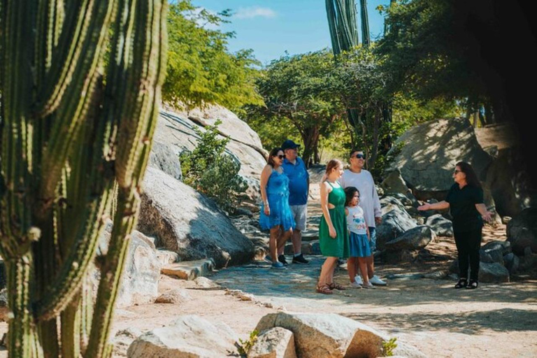 Oranjestad: Halvedaagse tour op Aruba met topattracties