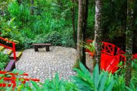 Puerto Plata: Cable Car and Isabel de Torres National Park Tour Puerto Plata: Cable Car Excursion to Pico Isabel de Torres