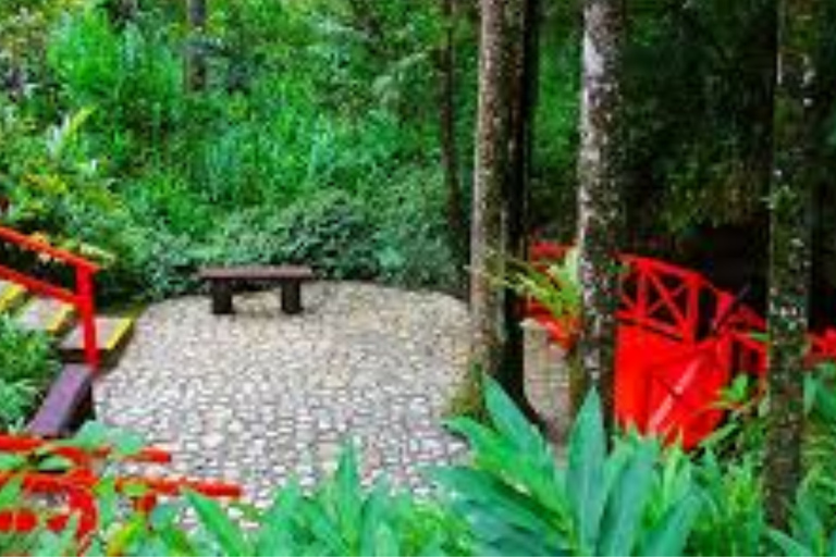 Puerto Plata: Cable Car and Isabel de Torres National Park Tour Puerto Plata: Cable Car Excursion to Pico Isabel de Torres