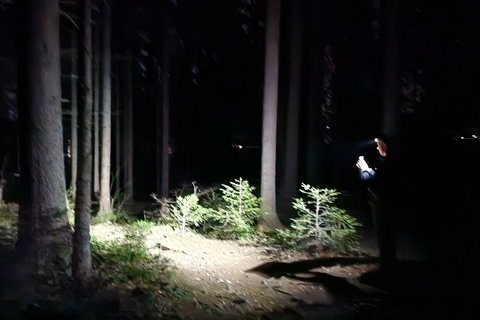 Sarajevo: Mount Trebević Sunset and Night Hike