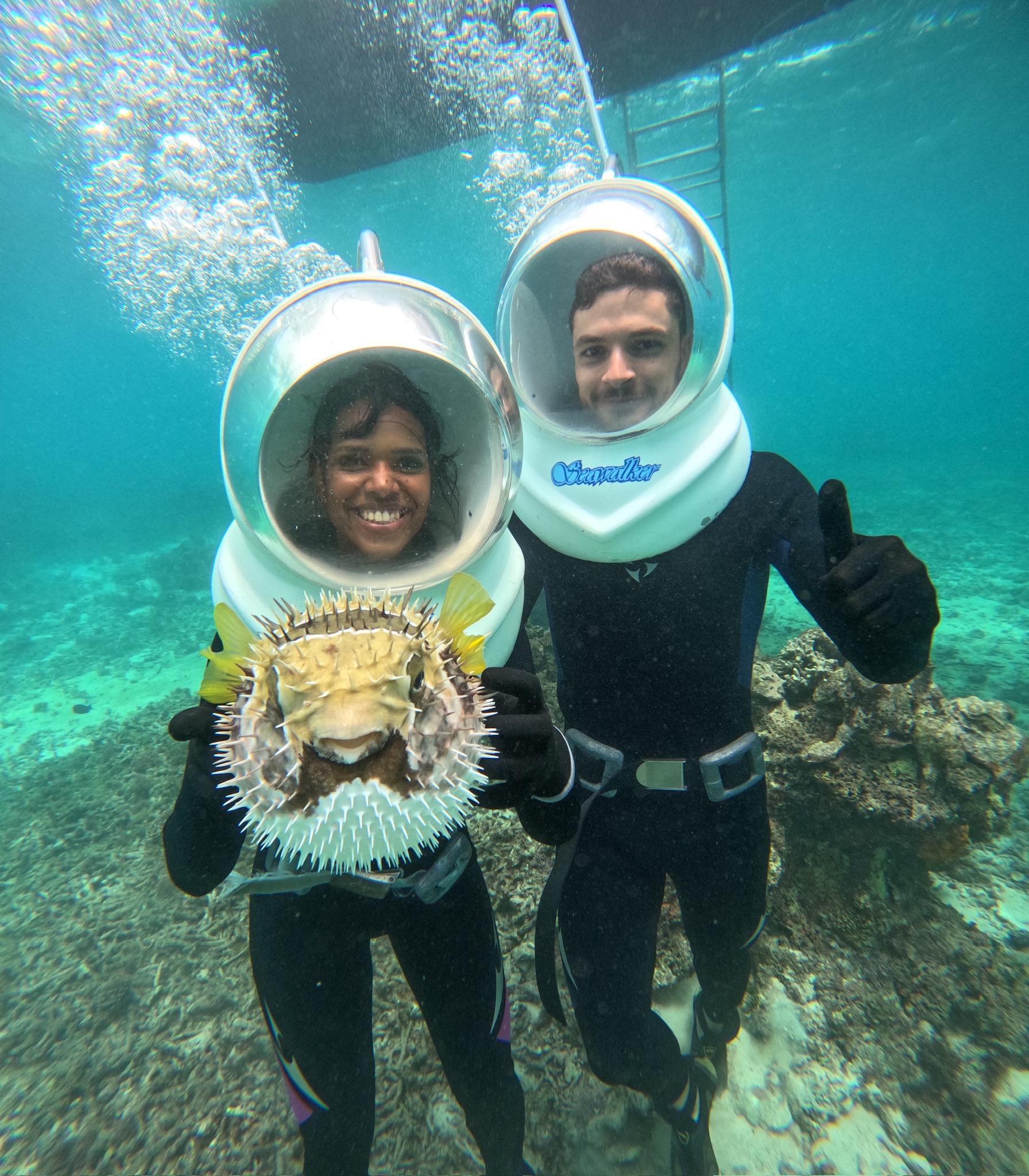 Insel Ishigaki: Tauchen Sie ein in das Unterwasserparadies von Ishigaki