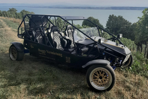 Buggy verhuur Hoogtepunt aan het meer van constanzBuggy verhuur Meer van constanz Hoogtepunt