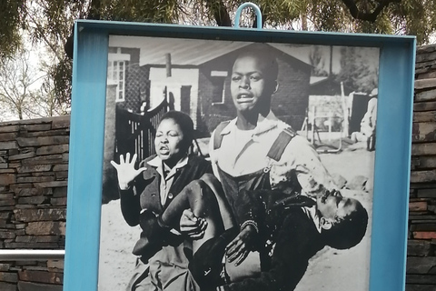 Half-Day Soweto & Apartheid Museum Tour - English & French