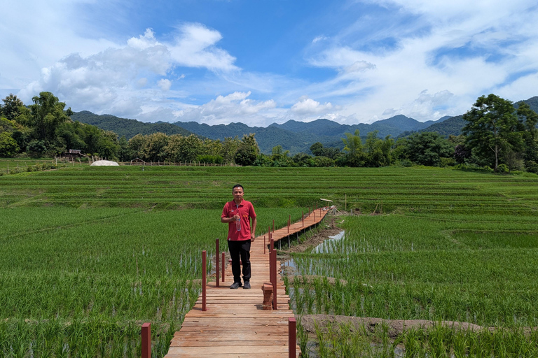 Kuang Si Waterfalls Hiking Adventure &amp; Morning Mekong Cruise