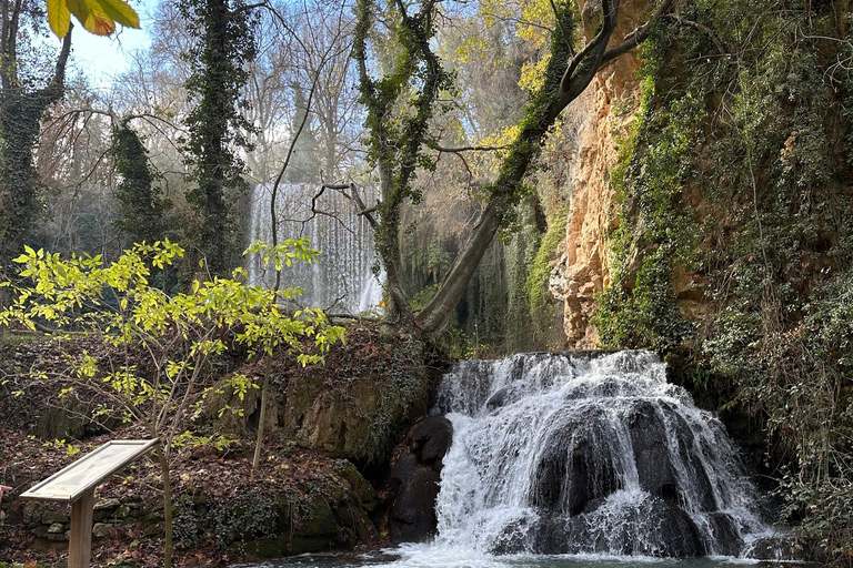 From Madrid: Discover the Monasterio de Piedra and the Kingdom of Aragon Explore the Stone Monastery and discover Sigüenza in a small group