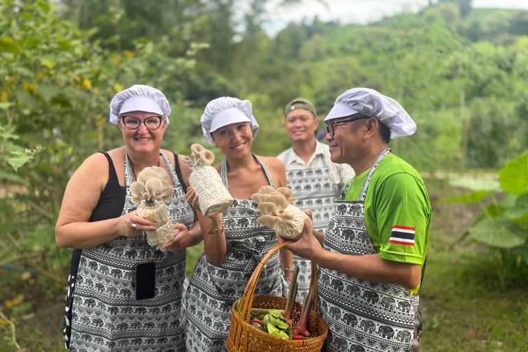 Chiang Mai: Elephant Sanctuary & Thai Cooking Workshop Meeting Point In Town