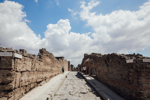 Tour privato di Pompei e Sorrento con partenza da Roma