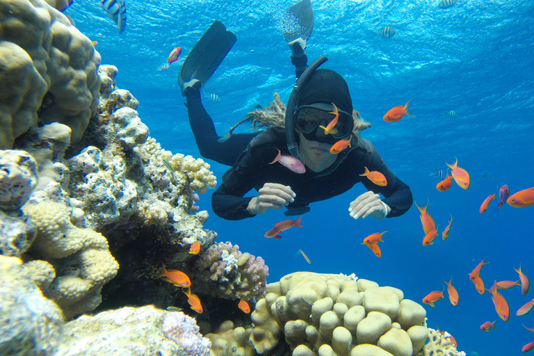 Hurghada:Immersioni e snorkeling di lusso con isola/pranzo/massaggioTour da Hurghada