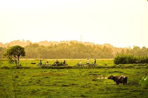 Galle: Countryside Cycling Tour with Hotel Transfer