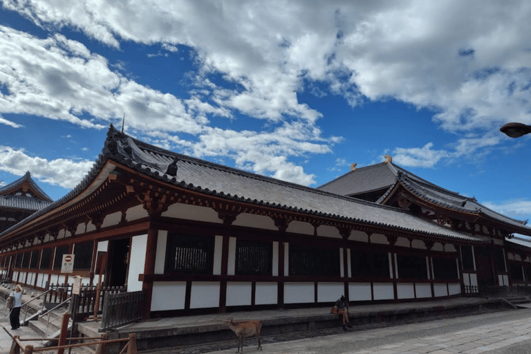 Nara Hidden Gems: Deer, Tsubosaka-dera, Kasuga & Naramachi