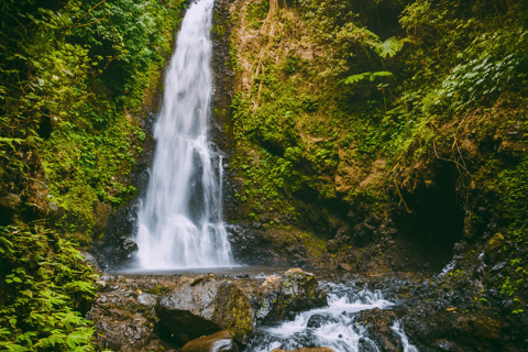 Depuis Chiang Mai : Personnalisez votre itinéraire dans le nord de la ThaïlandeDepuis Chiang Mai : Voyage sur mesure dans le nord de la Thaïlande