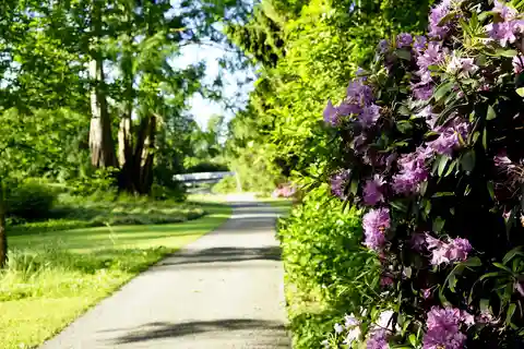 Kassel: Flowers, baroque and art - a walk from the island to the city