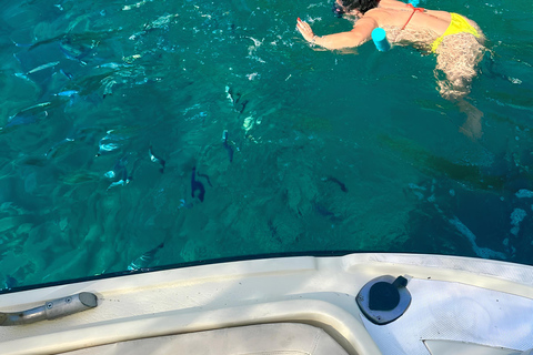 Scilla in Barca-Costa Viola tour: Caves-Cala Janculla