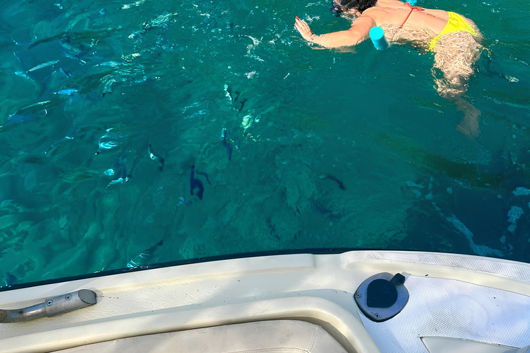 Scilla in Barca-Costa Viola tour: Caves-Cala Janculla