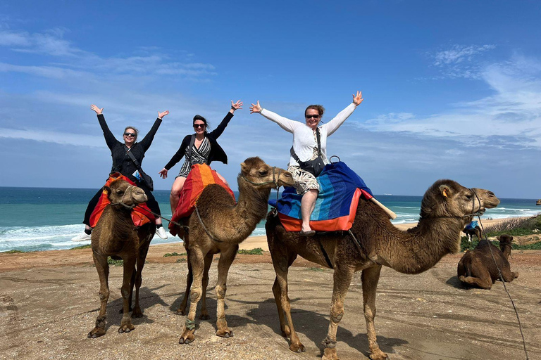 Från Tarifa: Chefchaouen dagsutflykt med färjebiljett och guide