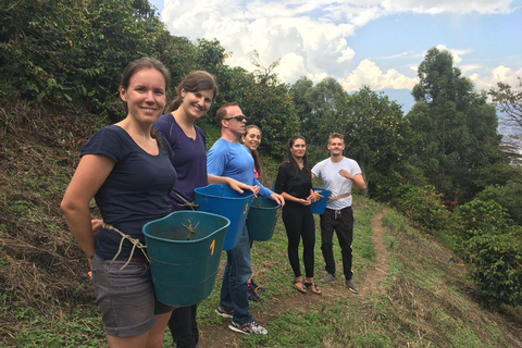 Medellín: Comuna 8 Transformation & Urban Coffee Farm Tour