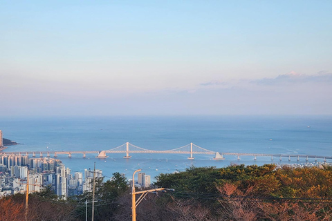 Tour serale di Busan: Yacht, montagna di HwangnyeongsanGuida turistica in lingua inglese