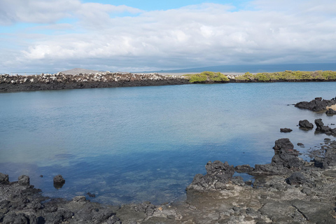 2 DAYS ISABELA ISLAND- TINTORERAS ISLET & TUNELES CABO ROSA