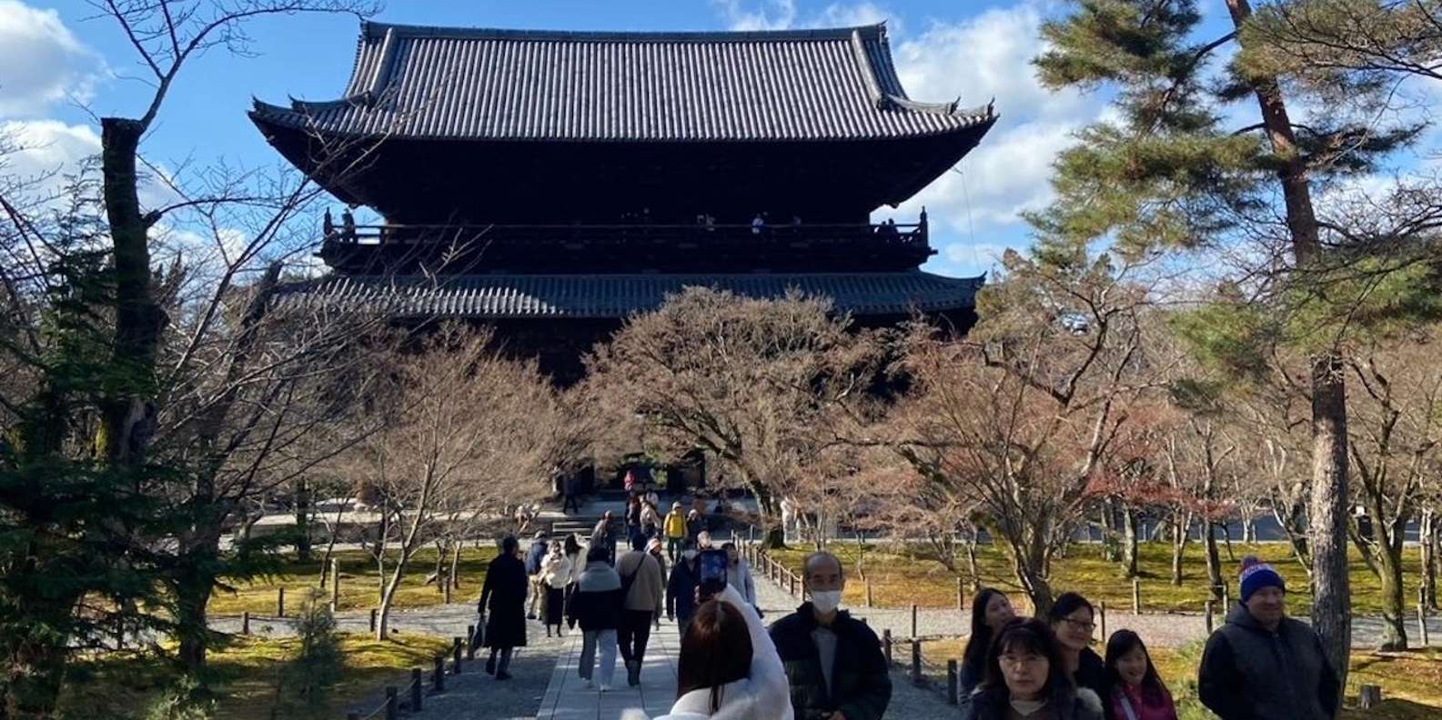Kyoto experience — temples, geisha, bamboo grove — image 20
