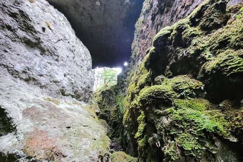 2-Day Sierra Norte Cloud Forest Adventure