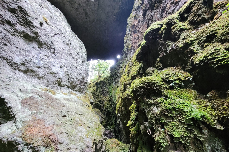 2-Day Sierra Norte Cloud Forest Adventure