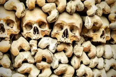 Bone Crypts & S. Clemente ENGLISH tour - tickets included