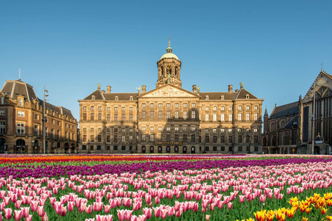 Muzeum Amsterdamskie bez kolejki podczas prywatnej wycieczki do Ermitażu5 godzin: Muzeum Ermitażu w Amsterdamie, Stare Miasto i transfer