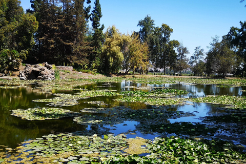 Visite prolongée de Concha y Toro avec 7 dégustations et Lapis Lazuli