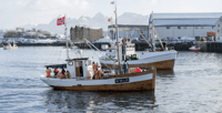 Svolvær, Angelausflug von Svolvær - Hizvo