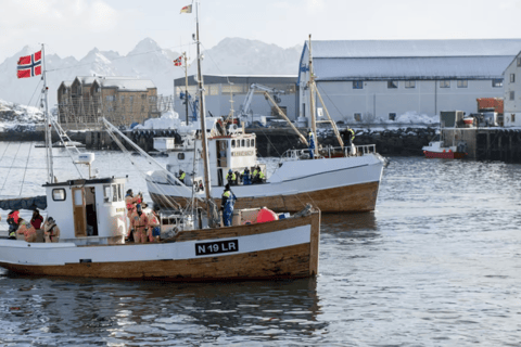 Svolvær: Angelausflug auf den Lofoten