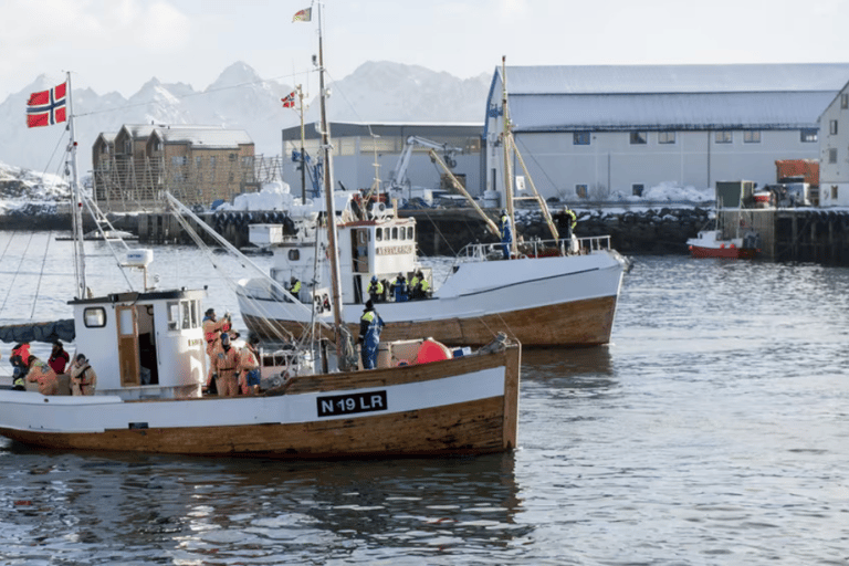 Svolvær: Fisketur på Lofoten