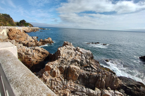 Promenade à vélo le long de la côte de Viña del Mar ou de Valparaíso, à vous de choisir !