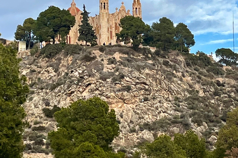 Visite de Bodegas Viejas avec dégustation + Château de La Mola