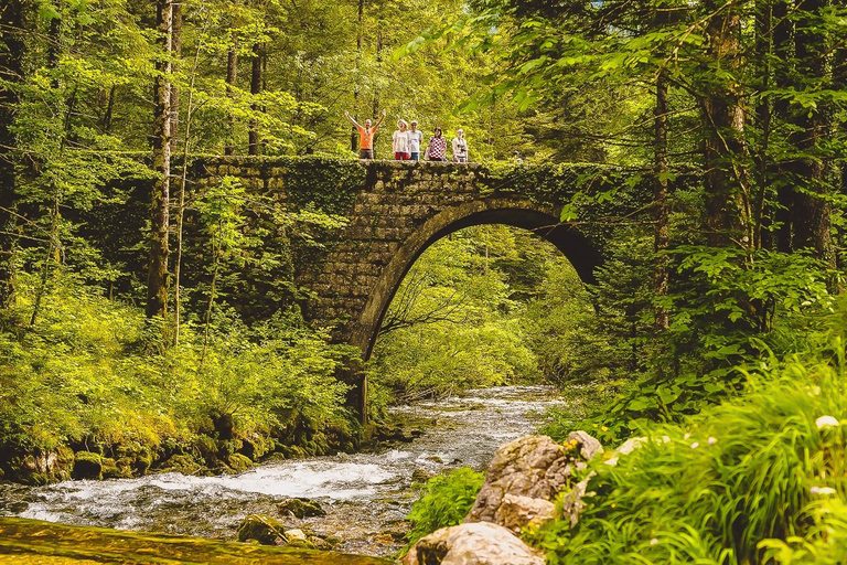 Kamnik and Velika planina: Private Trip from Ljubljana