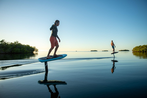 Esperienza privata di noleggio di un hydro fliteboard fuori dall&#039;acqua