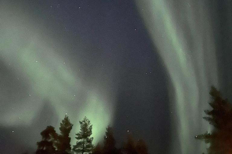 Saariselkä/Kakslauttanen: Private Aurora Hunt in Premium Car Saariselkä: Premium Northern Lights Car Hunt in Small Group