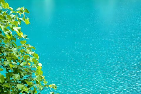 Sichuan: Jiuzhaigou Valley Ticket