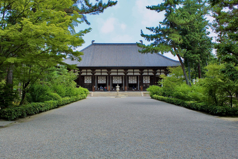 Nara: Yakushiji Tour – Toshodaiji or Sutra Copying Option Yakushiji + Sutra Copying Experience Option