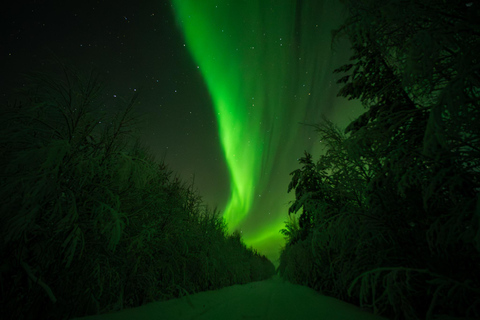 Rovaniemi: Northern Lights Tour – Guaranteed with Photos Small-Group Northern Lights Tour – Guaranteed with Photos