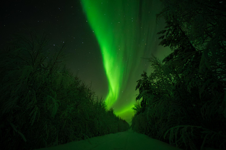 Rovaniemi: Northern Lights Tour – Guaranteed with Photos Small-Group Northern Lights Tour – Guaranteed with Photos