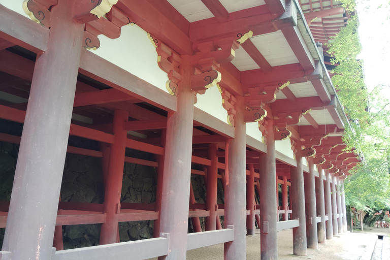 Nara: Explore Tanzan Shrine’s Pagoda and Sacred History