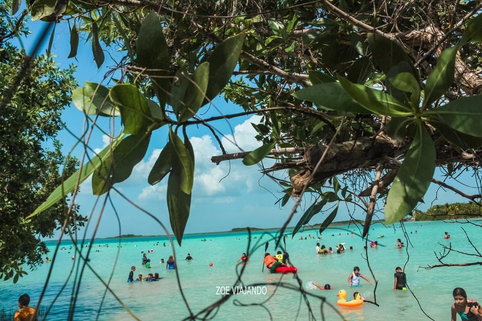 Merida: Sisal Kayak Through Mangroves and Bird Watching Tour | GetYourGuide