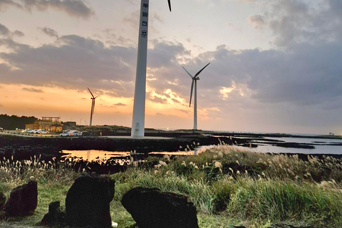 Jeju eiland: Privétour met gids