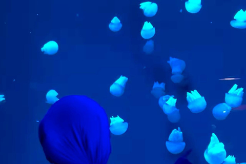 Jakarta Aquarium & Safari Entrance Ticket Regular Entrance Ticket Only