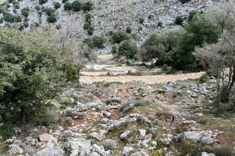 Un día memorable en la Cueva de Zeus y la Meseta de Lasithi