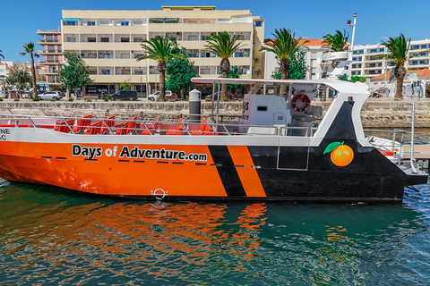 DELFINSKÅDNING &amp; BENAGIL-GROTTAN FRÅN LAGOS – DUBBELTURDOLPHIN WATCHING &amp; BENAGIL CAVE TOUR FRÅN LAGOS - DUBBELUTFLYKT